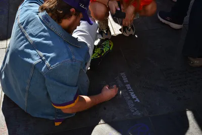 DSC_7179 (Large).JPG